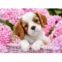Pup in Pink Flowers, puzzle 180 parties