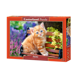 Puzzle Castorland Chaton Tigre Puzzle 500 Pieces