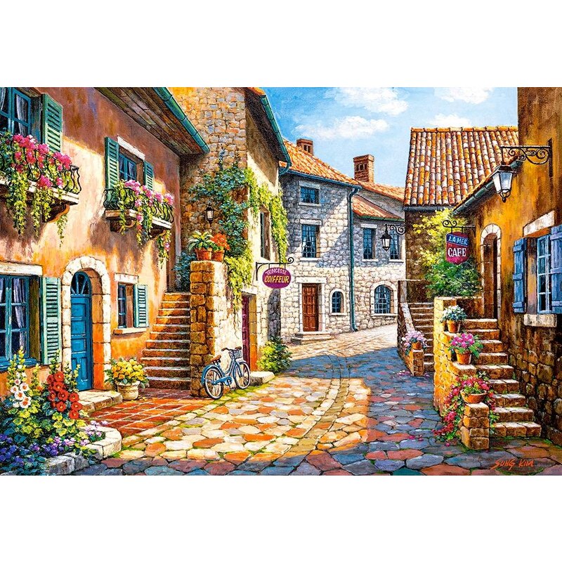 https://www.1001puzzles.fr/1070485-large_default/castorland-c-103744-2-rue-de-village-puzzle-1000-pieces.jpg