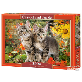 Kitten Buddies, puzzle de 1500 pièces