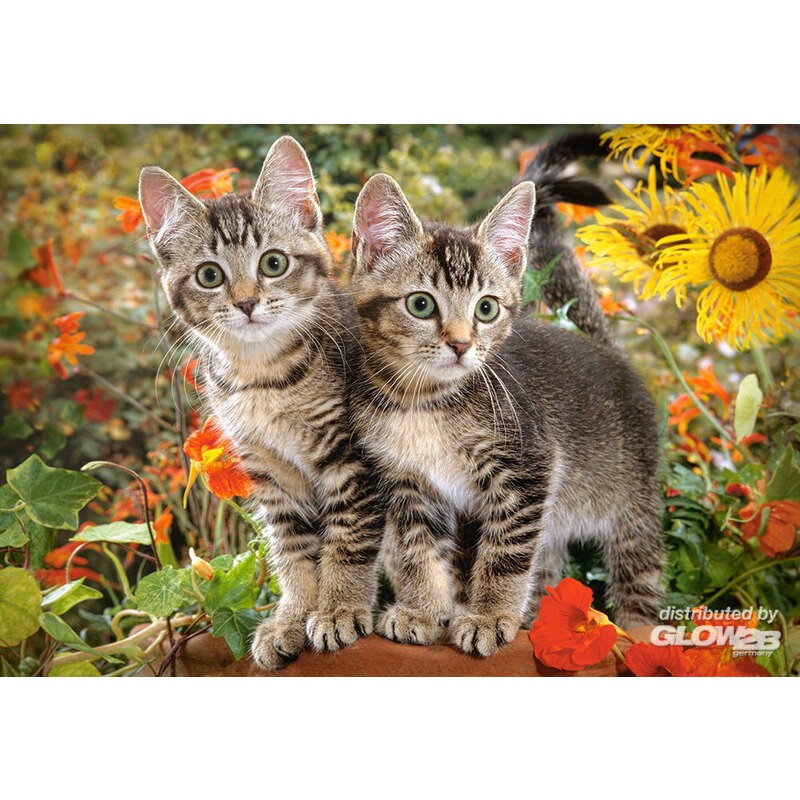 Kitten Buddies, puzzle de 1500 pièces