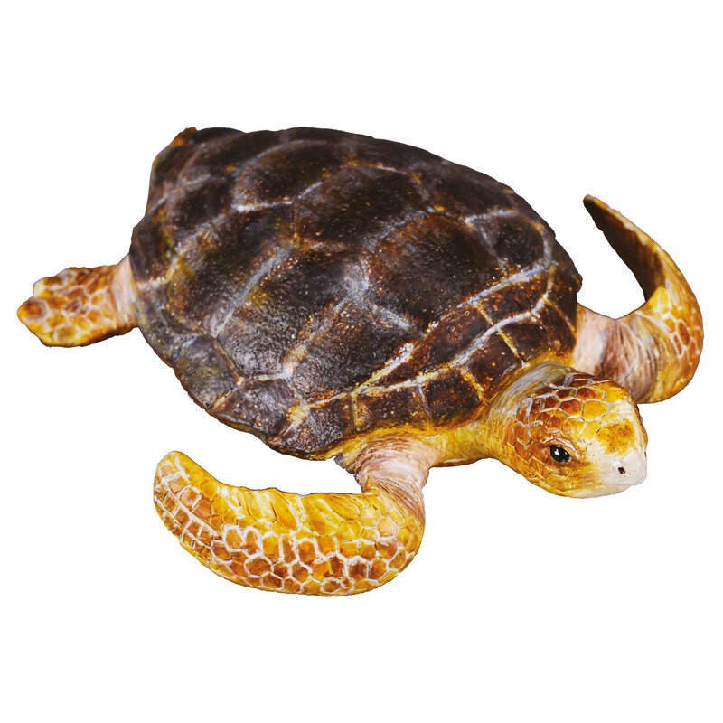 Collecta Animaux marins (M): TORTUE 7x6.5x2.7cm