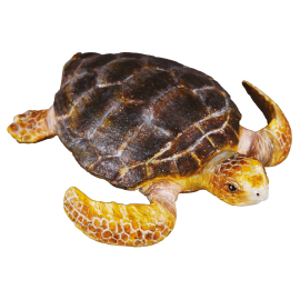 Collecta Animaux marins (M): TORTUE 7x6.5x2.7cm