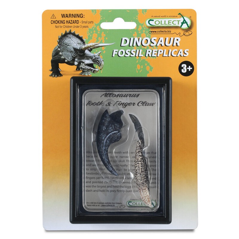 Collecta Dinosaure: Dent et Griffe des doigts d'ALLOSAURUS