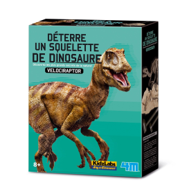 DETERRE-TON-DINOSAURE (Velociraptor)