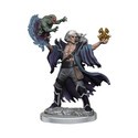 Dungeons & Dragons Frameworks miniature Model Human Warlock Male