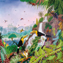 Puzzle TOUCANS A CARENE