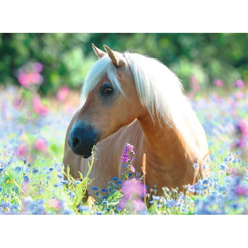 Puzzle 300 p XXL - Cheval dans la prairie