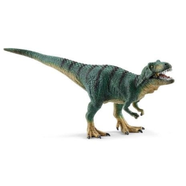  Jeune tyrannosaure Rex