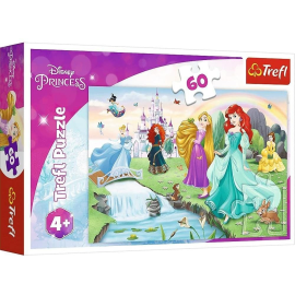  Puzzle 60 Pièces Rencontres avec les princesses