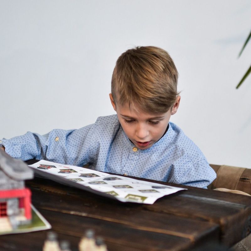 WiseElk Constructeur de mini-briques "Château du Nid d'Aigle"