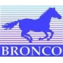 Bronco Models